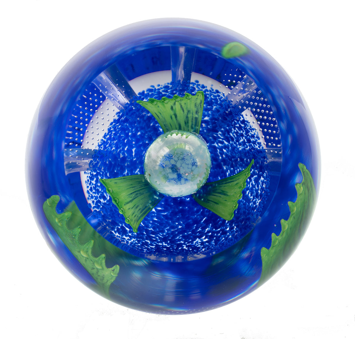 Caithness Azure Blossom- Hot House Collection 2025