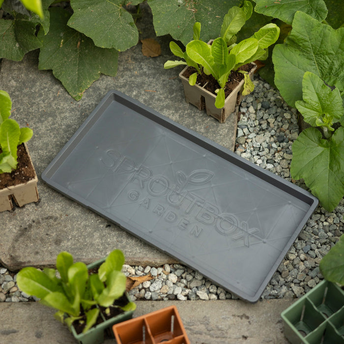 1020 Base Tray