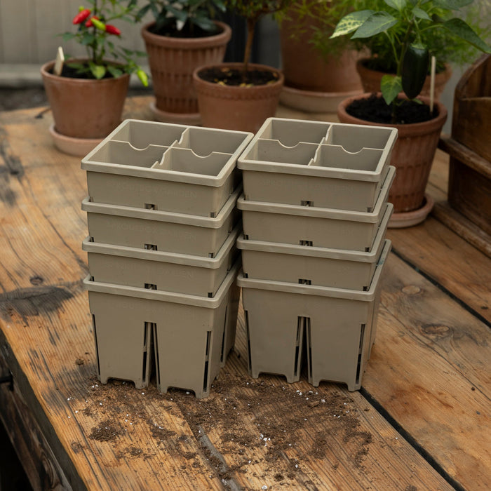 Driftwood / Eight Pack