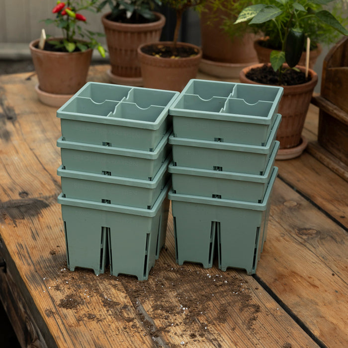 Riverstone / Eight Pack
