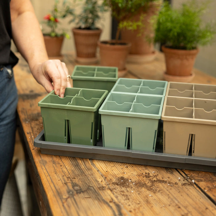 4-Cell Seed Starter Set