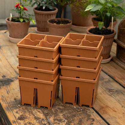 Terracotta / Eight Pack