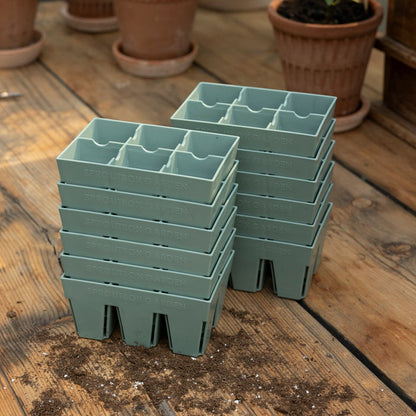 Riverstone / Twelve Pack