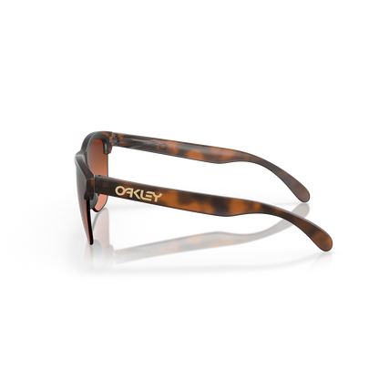 OAKLEY - FROGSKINS LITE | Matte Brown Tortoise w/ Prizm Brown