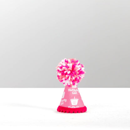 Pup Party Hats - NEW Birthday Girl Pink Ink Party Hat