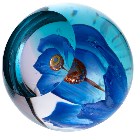 Caithness Glass Royal Botanical Garden Large Blue Poppy - Meconopsis