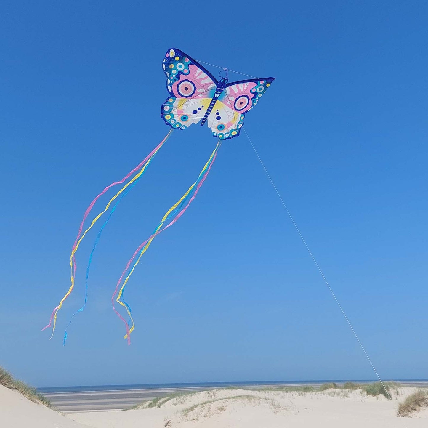 Djeco Maxi Butterfly Kite