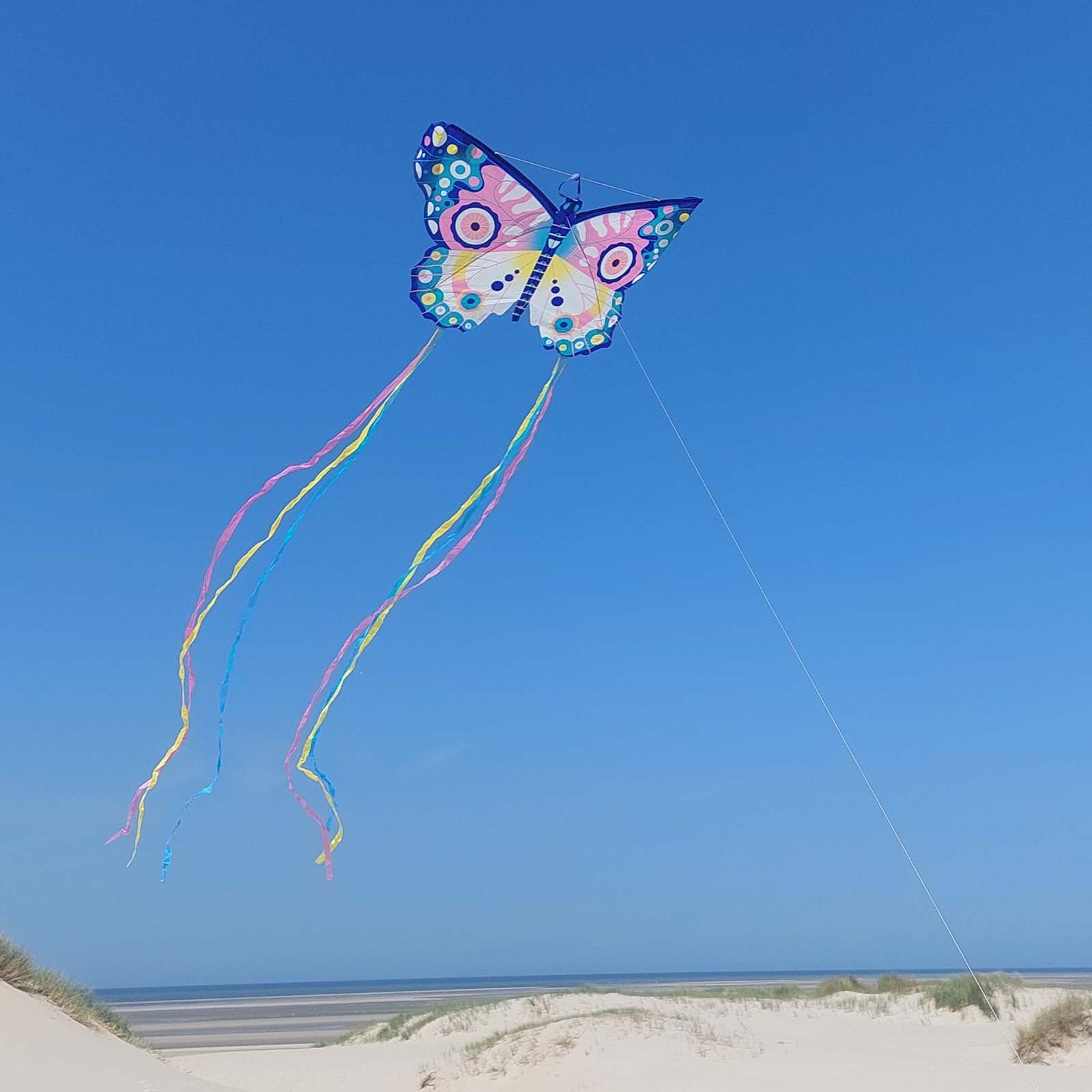 Djeco Maxi Butterfly Kite