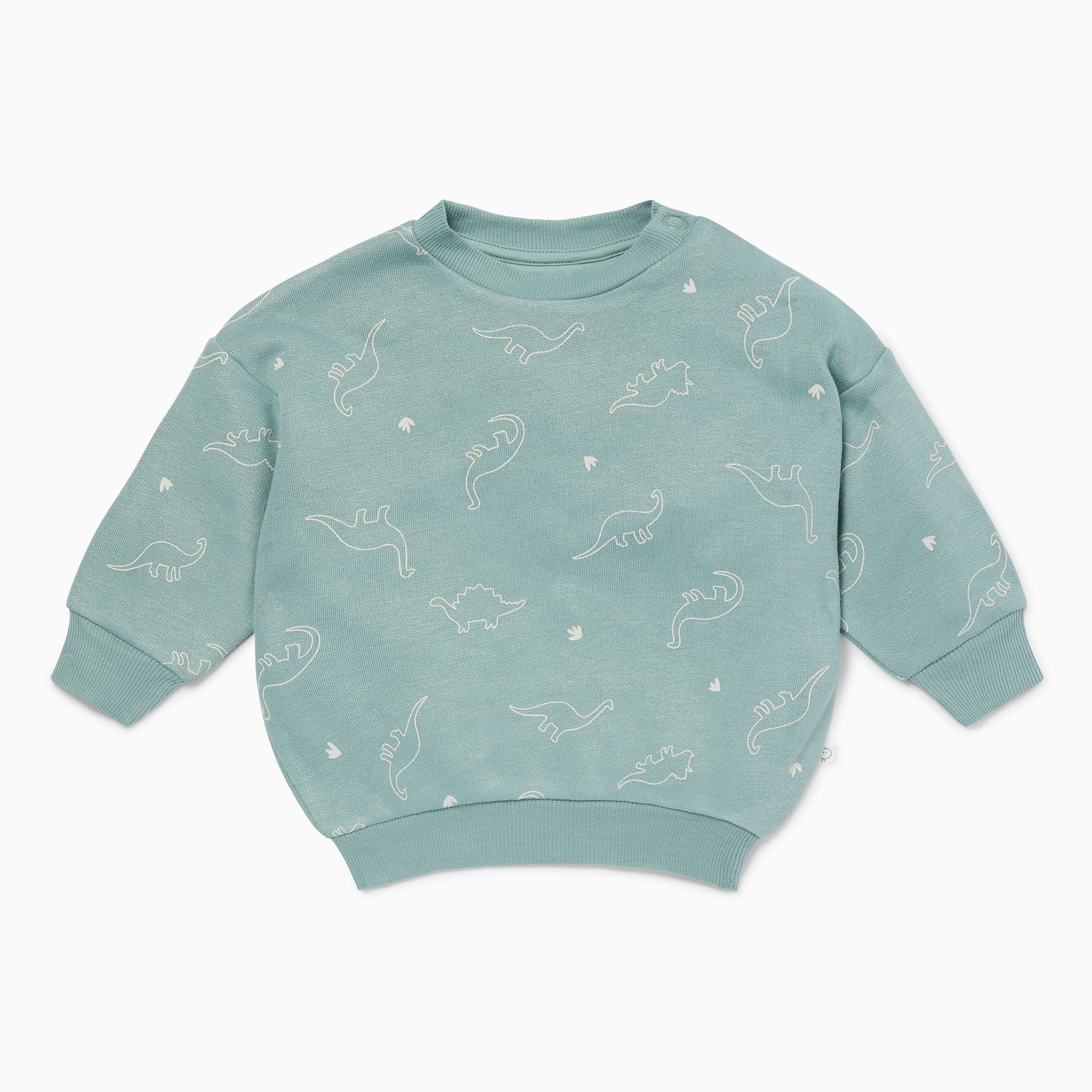 Dino Print Sweatshirt & Joggers Outfit