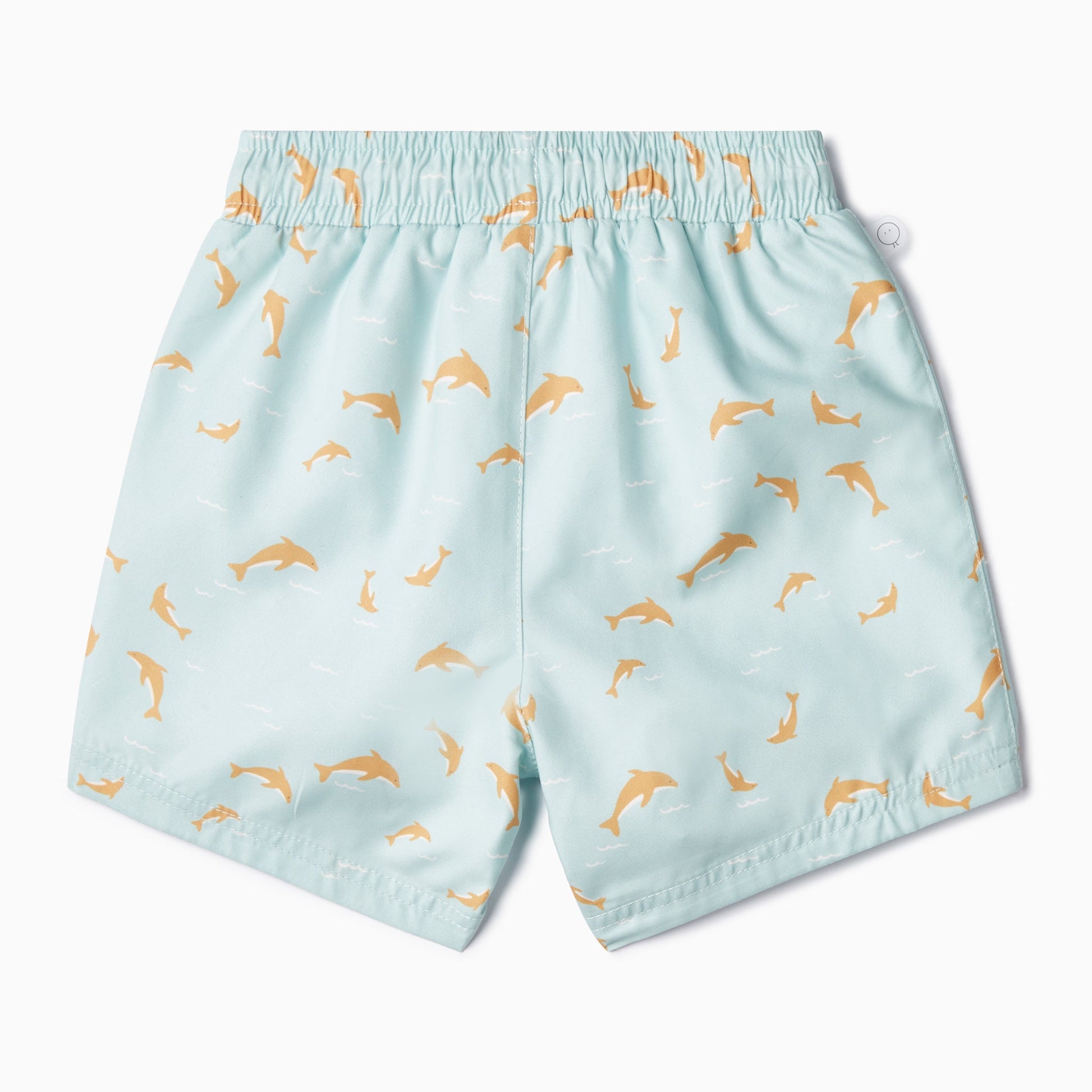 Dolphin Board Shorts