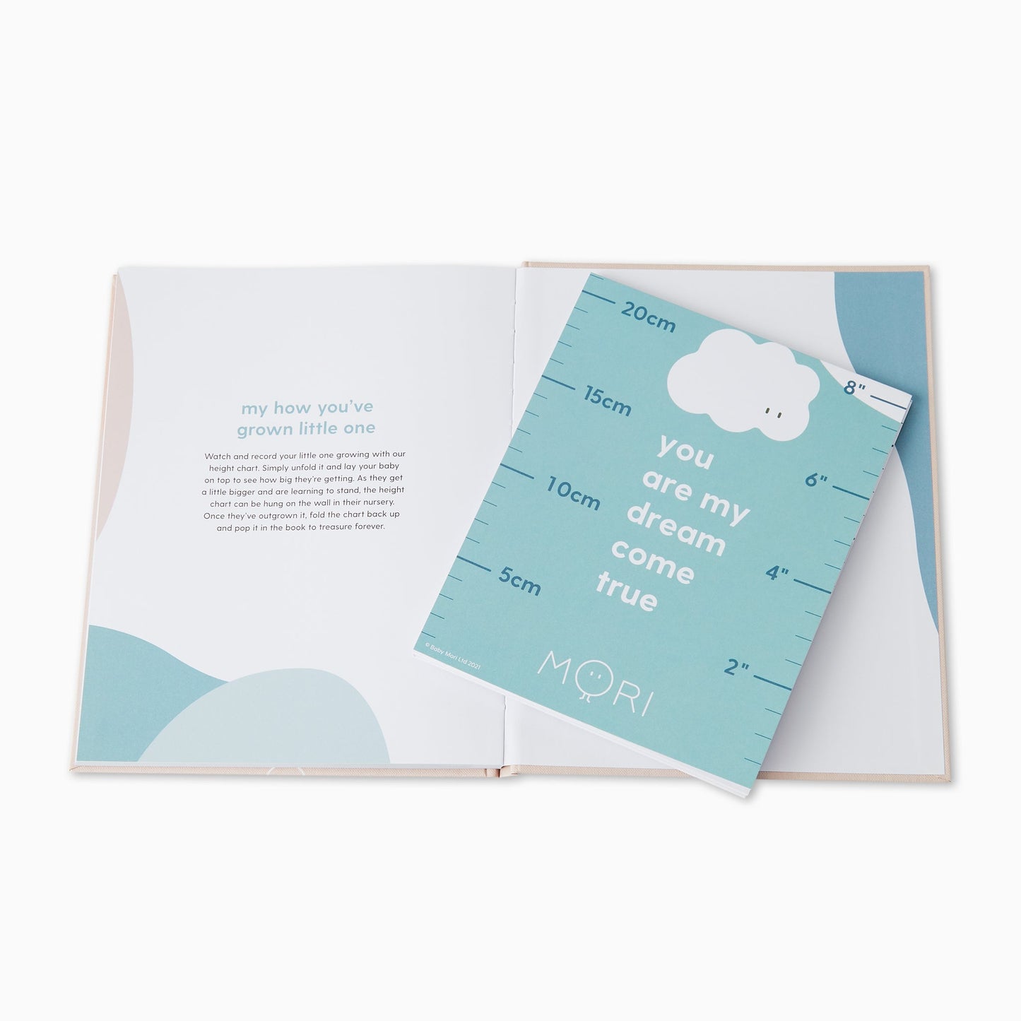 Hello Baby Book - Mint