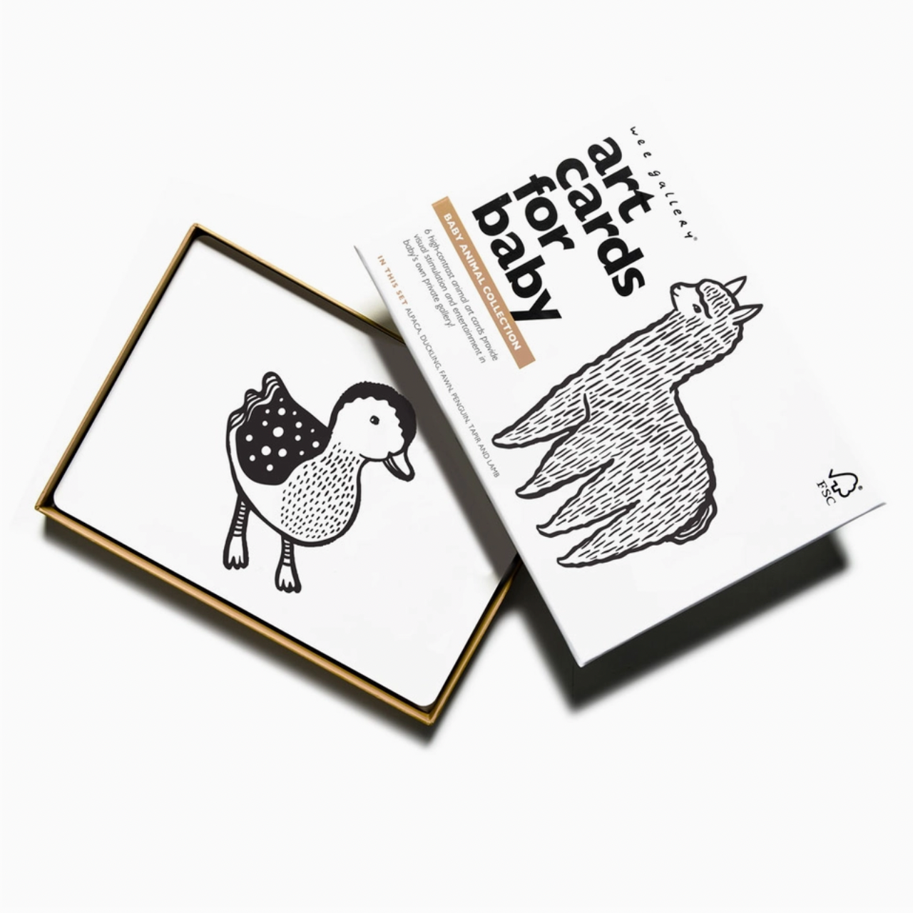 Baby Animal Art Cards
