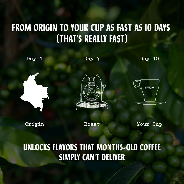 CITRUS