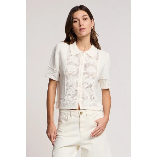 Velvet by Graham & Spencer Rosemond Cardigan in Milk