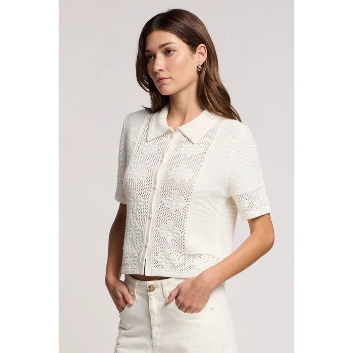 Velvet by Graham & Spencer Rosemond Cardigan in Milk
