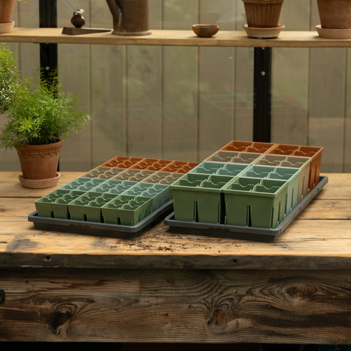 Indoor Seed Starting Kit