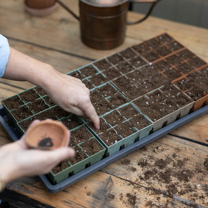 Indoor Seed Starting Kit