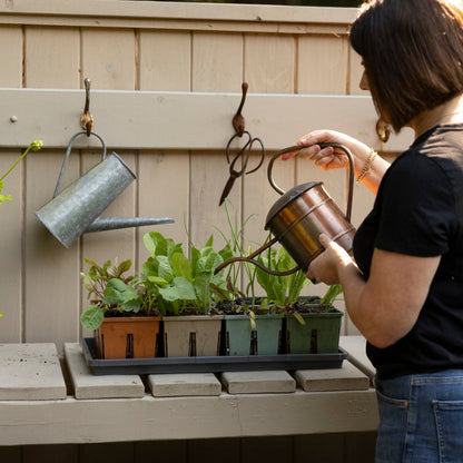 Indoor Seed Starting Kit