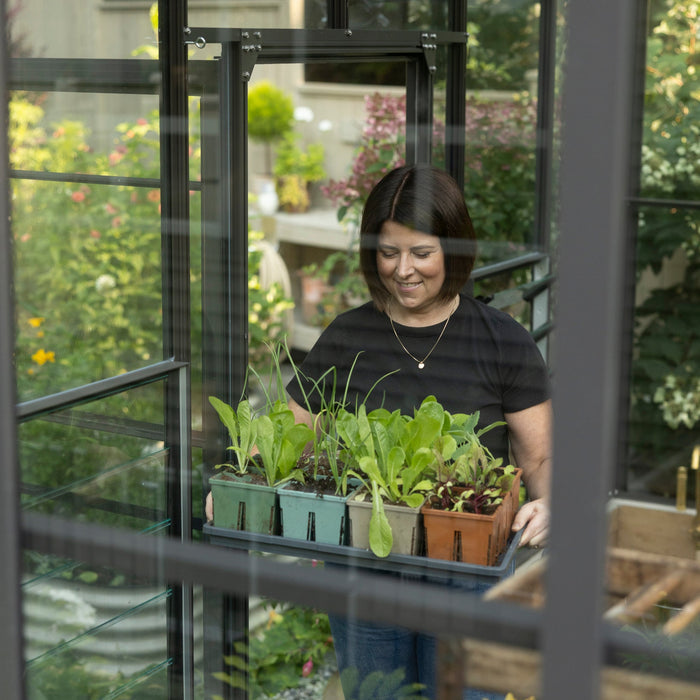 Indoor Seed Starting Kit