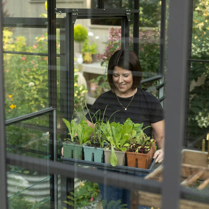 Indoor Seed Starting Kit
