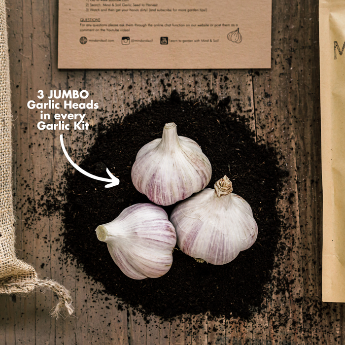 Mind and Soil Garlic Kit