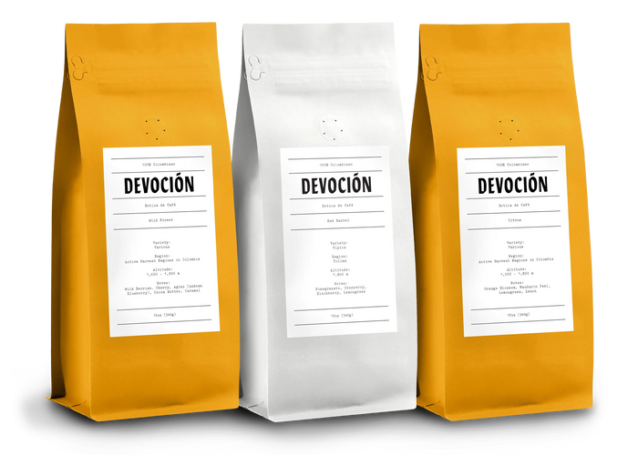 Devoción POUR OVER BUNDLE
