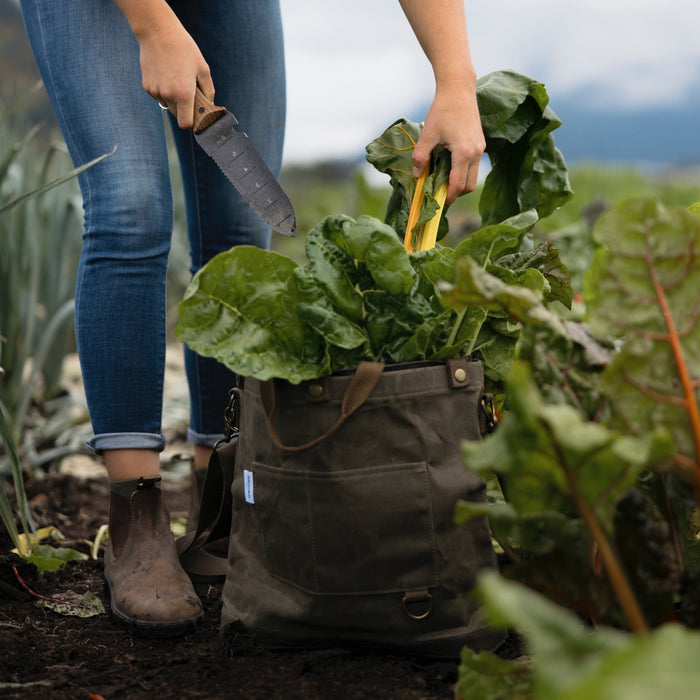 backyard bag in Canada