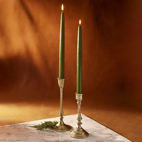 Thymes Frasier Fir 12" Taper Candles