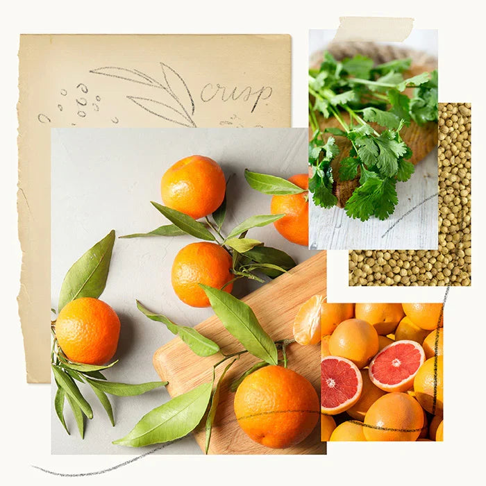 Thymes Mandarin Coriander Statement Poured Candle