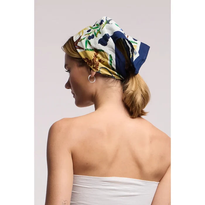 Velvet by Graham and Spencer Zuri Scarf in Multi
