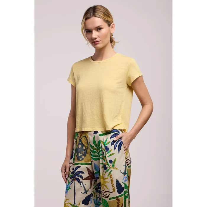 Velvet by Graham & Spencer Casey Tee in Sun