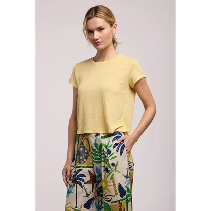 Velvet by Graham & Spencer Casey Tee in Sun
