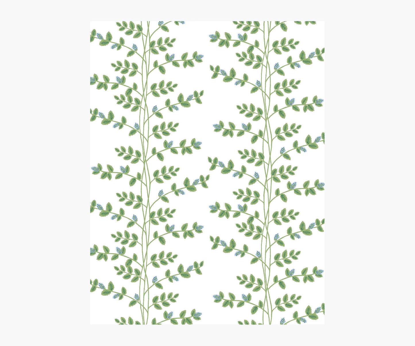 Climbing Vines Wallpaper Sample - White & Blue