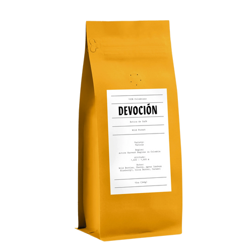 WILD FOREST | Devoción